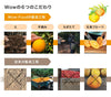 Wow コールドプレスオーチャード　マンダリンオレンジ果汁 (215ml/54本入) - Wow-food.jp